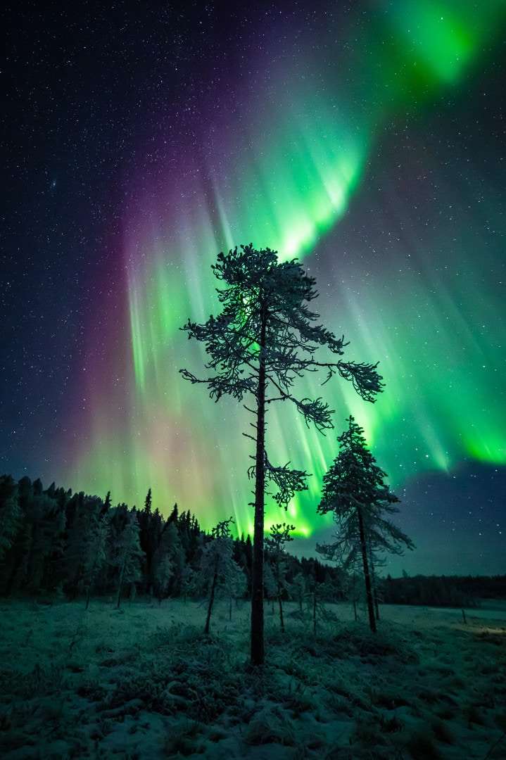 Aurora Borealis in Lapland Finland. Photo by Alexander Kuznetsov / Aurora Hunting.