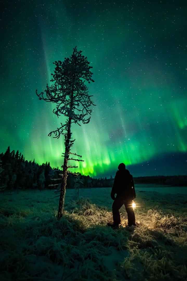 Aurora Hunting Review – Barbara – Rovaniemi Lapland Finland.