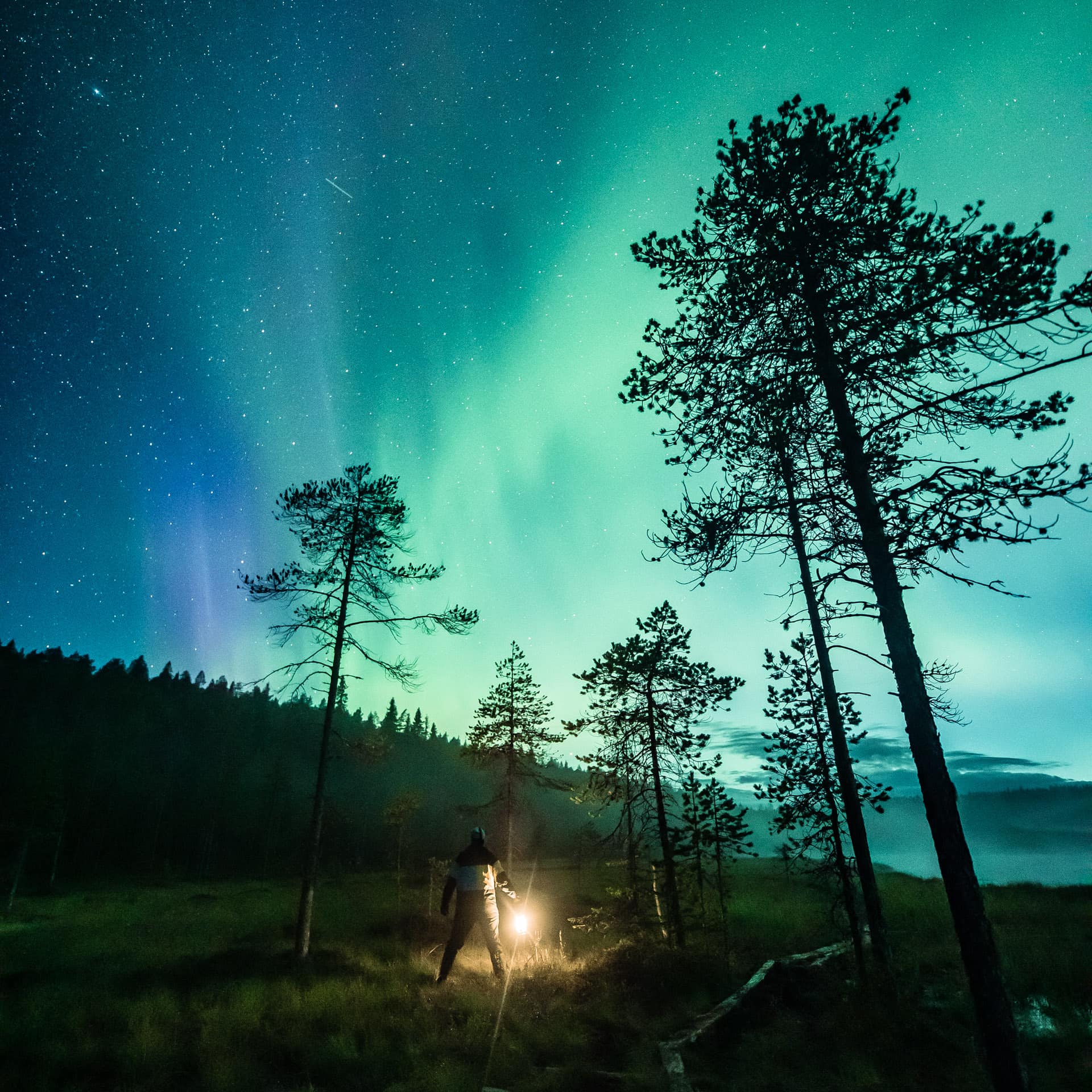 Best months to see northern lights – August. Aurora hunting in Rovaniemi Lapland Finland.